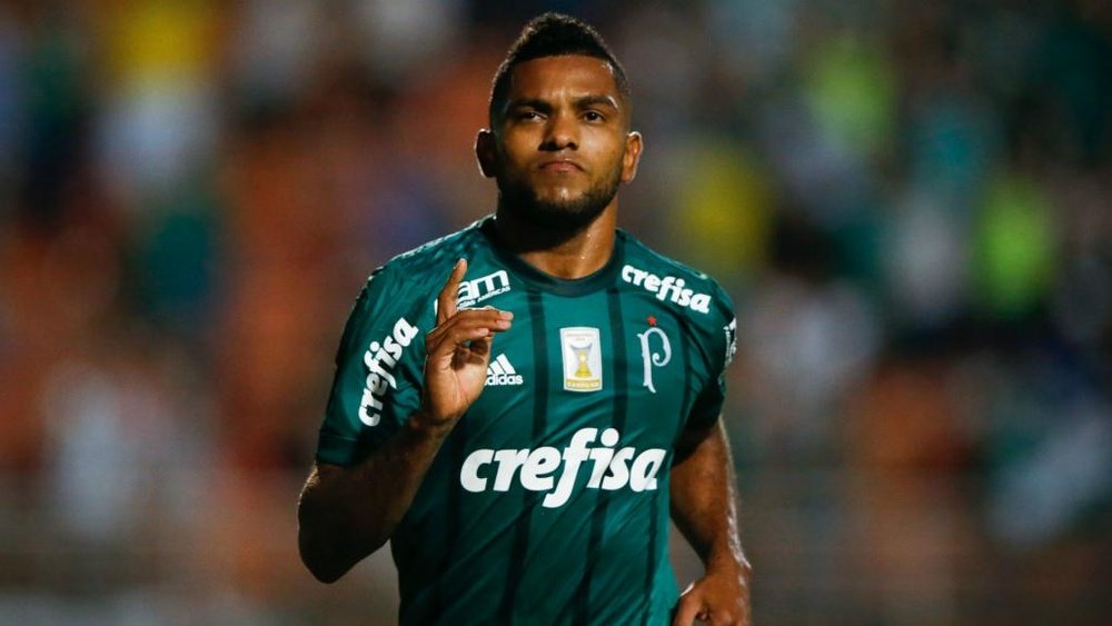 Miguel Borja Palmeiras. Goal