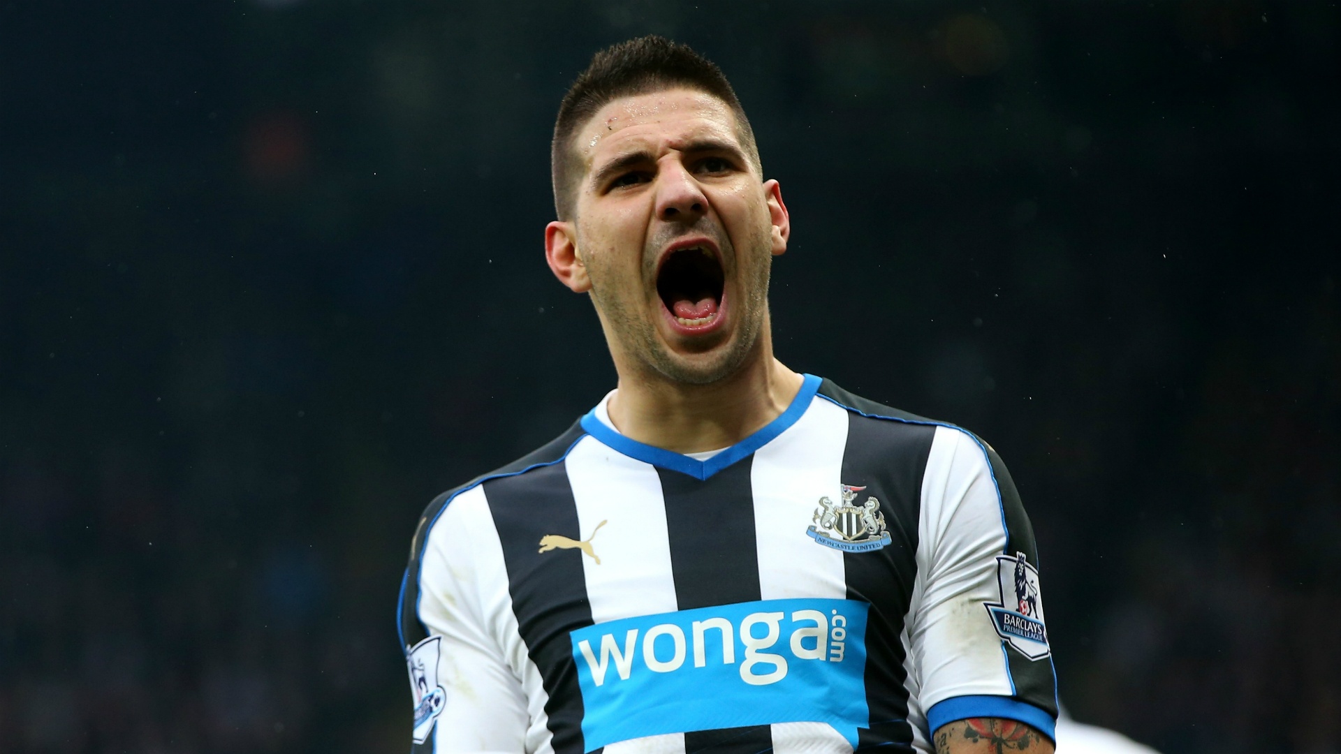 Aleksandar Mitrovic celebrates scoring for Newcastle. Goal