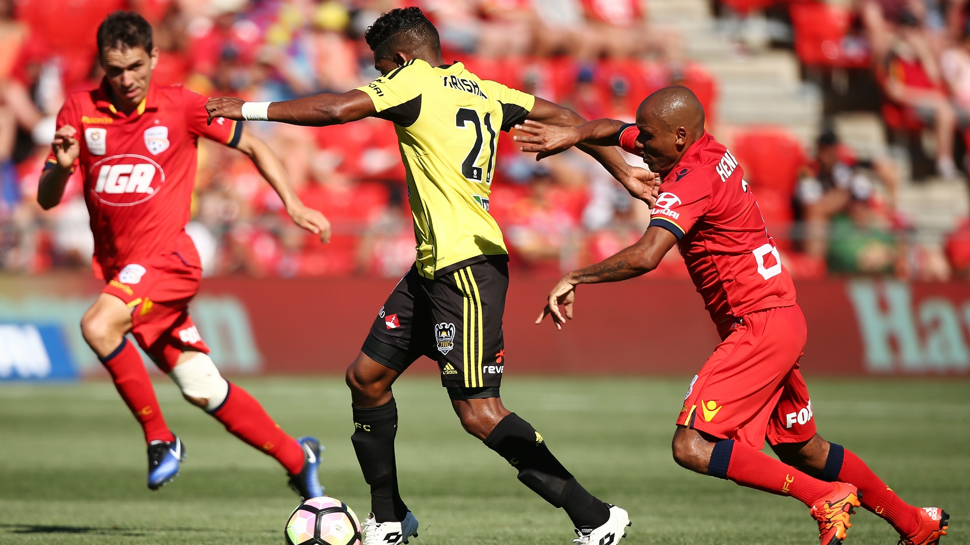 Adelaide United 2 Wellington Phoenix 2: Late Mileusnic equaliser denies visitors