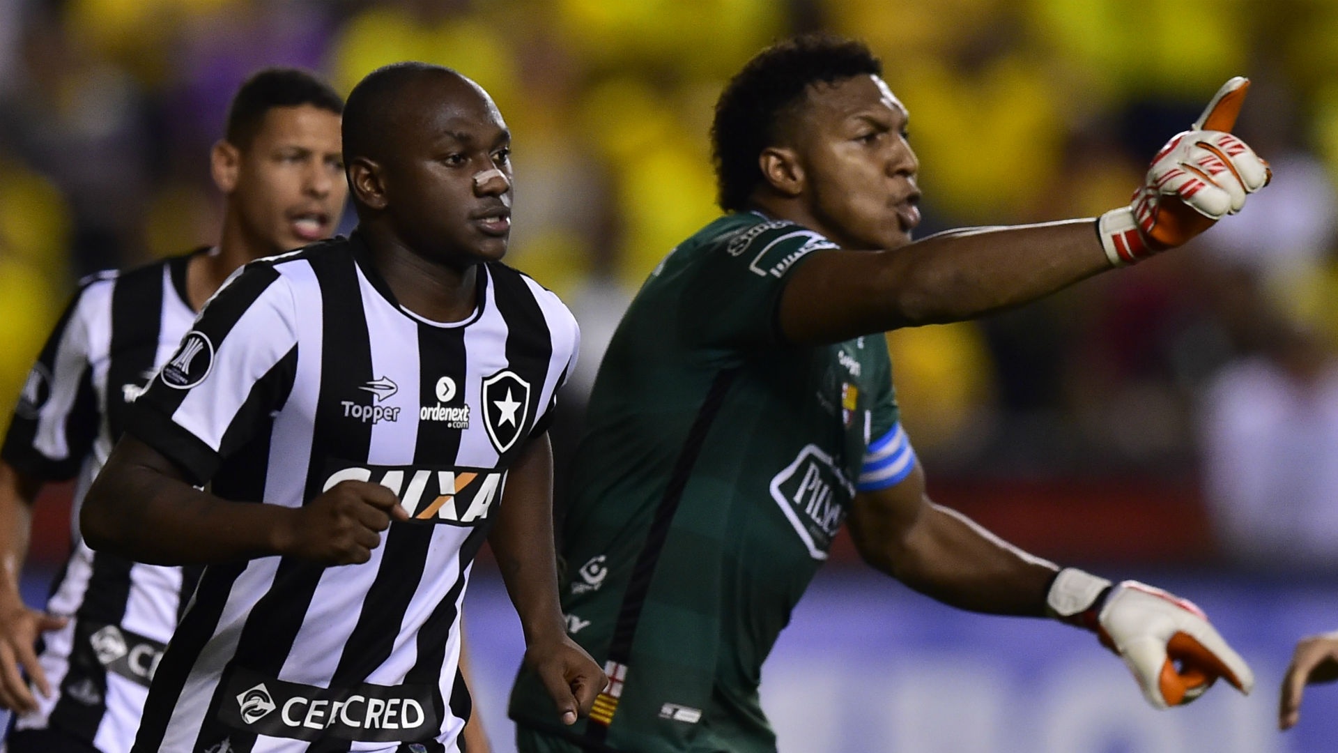 Sassá vai fazer parte da partida do Botafogo contra o Atlético Nacional... apenas no papel