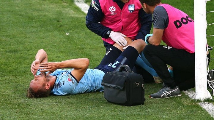 A-League Review: Joy and pain for De Jong as Sydney close gap
