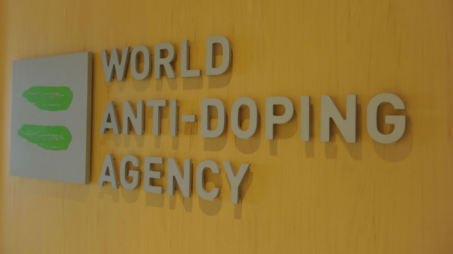 A picture of the Wada. Goal